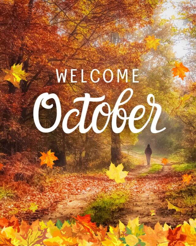 🍂 Autumn is here! A season of community, reflection, and gratitude.

At FGWRC, we’re so thankful for our donors, volunteers, and friends who help provide safety, care, and opportunities for women, gender-diverse people, and families in our community. 

October Highlights: Comedy Night | AGM Re-Cap | Fall Wishlist | World Mental Health Day | Virtual Learning Library | One Great Lottery | Gratitude Corner | FGWRC in the Community

October Workshops + Events: Family Separation Coaching | Inchie Art | Family Resolution Service | Seasonal Affective Disorder | Pumpkin Carving | Halloween Readings | Fall into Wellness + More! 

Check out all the updates, stories, and ways you can continue making a difference for FGWRC.! 👉 Link in Bio.

#Fgwrc #OctoberNewsletter #Free #Programming #Services #Events #Support #Information #Resources #Inspiration #MailingList #JoinUs