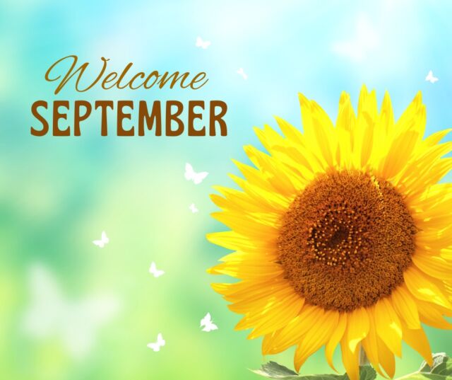 🍂 September at FGWRC

A new season brings new routines, new opportunities and sometimes a lot to navigate.

Our September newsletter is out, with stories from our community, summer highlights, upcoming programs and plenty of ways to connect with and support FGWRC.

Inside this month’s update:
✨ A story about navigating change and finding support
💛 A community member turning compassion into action
🌸 Free period products through our Access for All. Period. program
💃 A look back at some of our summer activities
🧠 Five reflections for when life feels overwhelming
🍕 A tasty way to support FGWRC this fall
📰 A look at FGWRC in the media
🤝 Ways to get involved and support our work
📅 Upcoming workshops, events, drop-in hours and our AGM
…and more!

Take a few minutes to see what’s happening at FGWRC this September.

Read the full newsletter: Link in Bio

#FGWRC #WinnipegCommunity #CommunitySupport #September